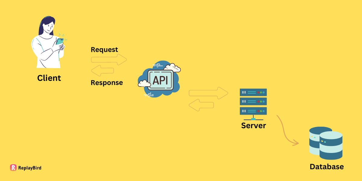 Query Parameters - A Beginners guide